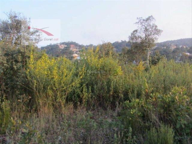 Terreno, Maçanet de la Selva