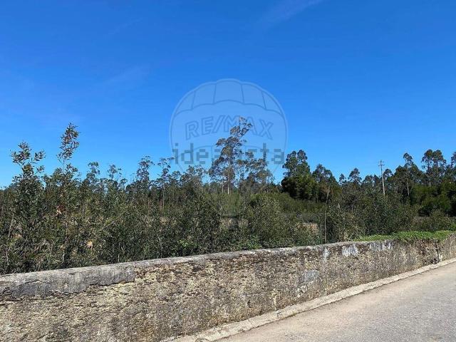 Terreno, Maceda