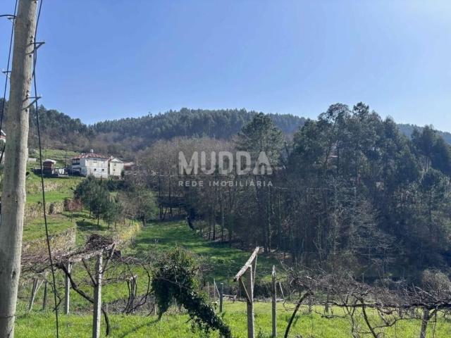 Terreno, Macieira de Cambra