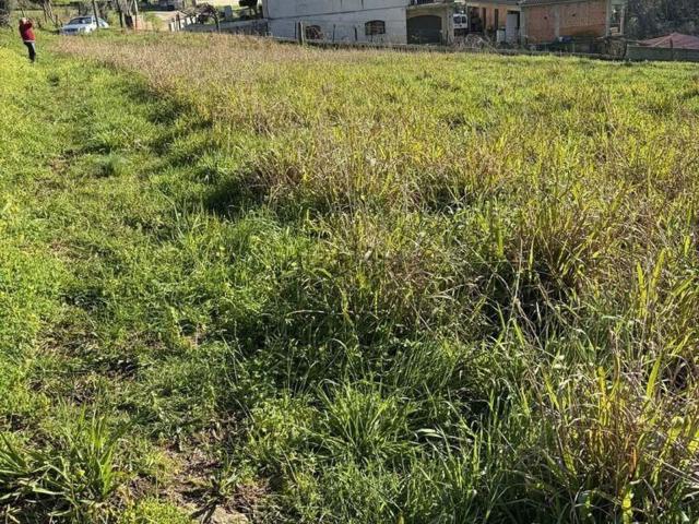 Terreno, Albergaria a Velha e Valmaior