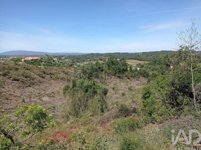 Terreno, Madalena e Beselga