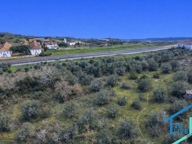 Terreno, Madalena e Beselga