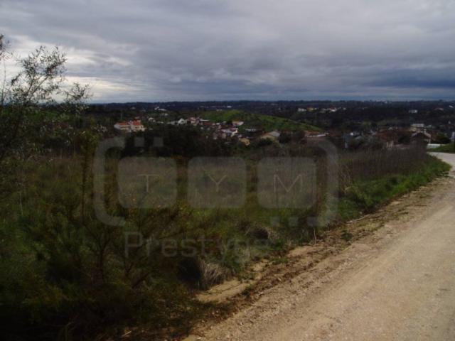 Terreno, Madalena e Beselga, Tomar | BPI Expresso Imobiliário