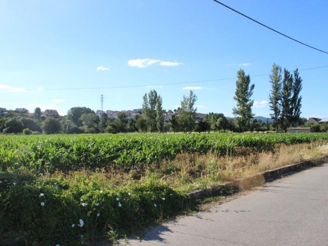 Terreno, Madalena e Samaiões