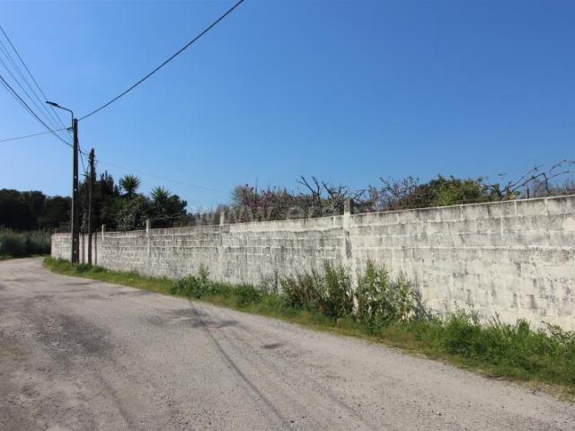 Terreno, Madalena, Vila Nova de Gaia | BPI Expresso Imobiliário