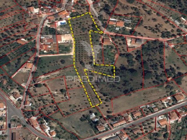 Terreno, Madeiras, Vila Nova da Barquinha