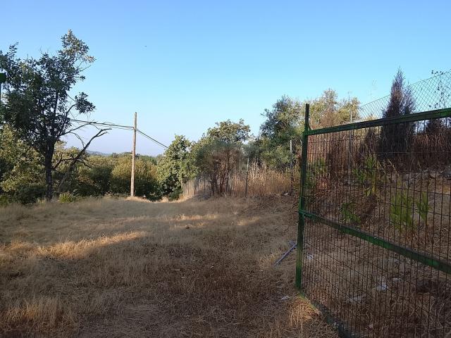 Terreno, Madrigal de la Vera