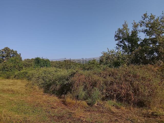 Terreno, Madrigal de la Vera