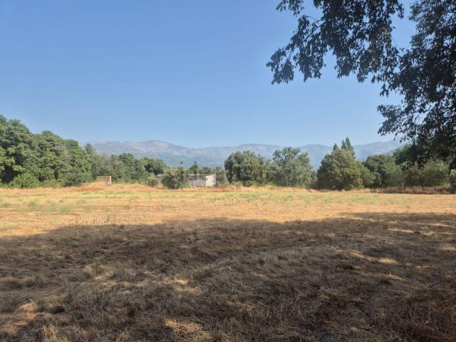 Terreno, Madrigal de la Vera