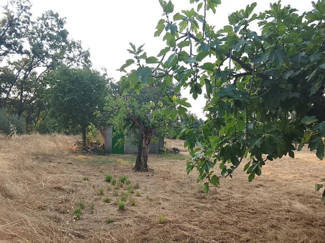 Terreno, Madrigal de la Vera