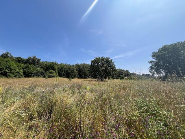 Terreno, Madrigal de la Vera
