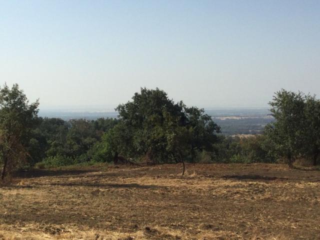 Terreno, Madrigal de la Vera