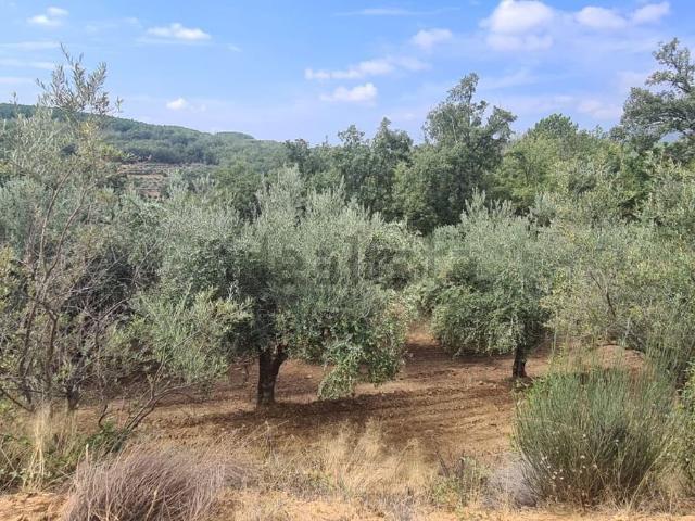 Terreno, Madrigal de la Vera