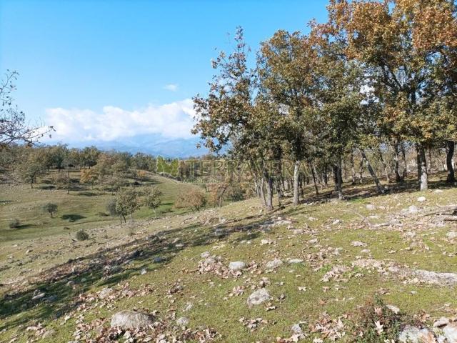 Terreno, Madrigal de la Vera