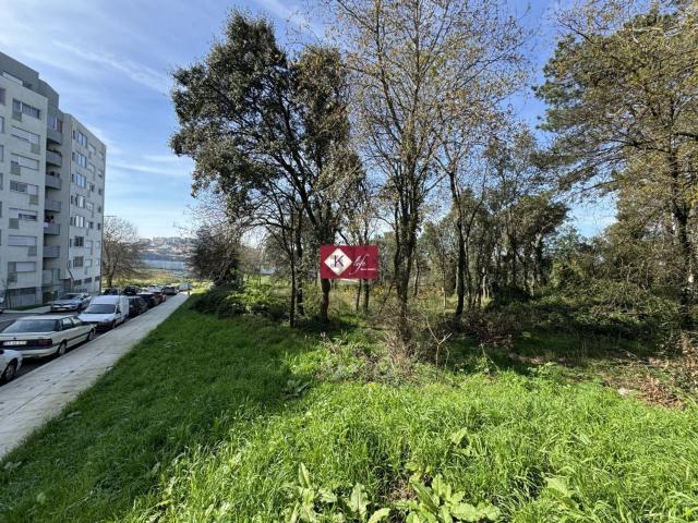Terreno, Mafamude