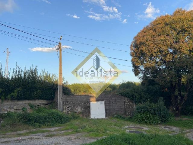 Terreno, Mafamude