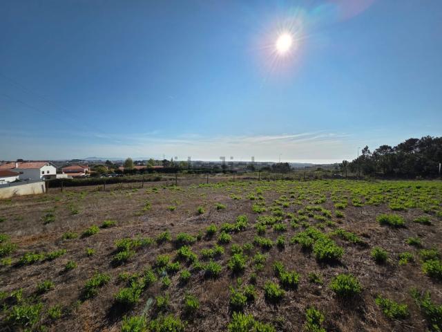 Terreno, Mafra