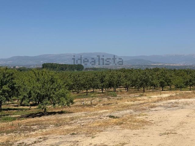 Terreno, Majadas