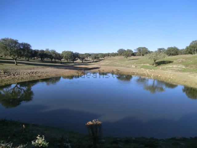 Terreno, Malpartida de Cáceres