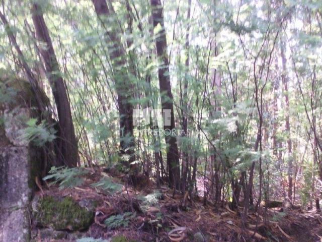 Terreno, Canidelo