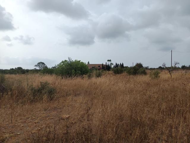 Terreno, Manacor