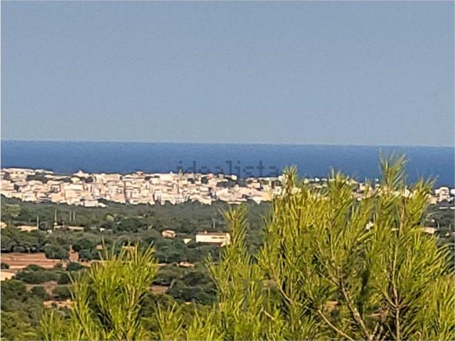 Terreno, Manacor