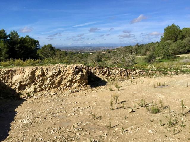 Terreno, Manacor