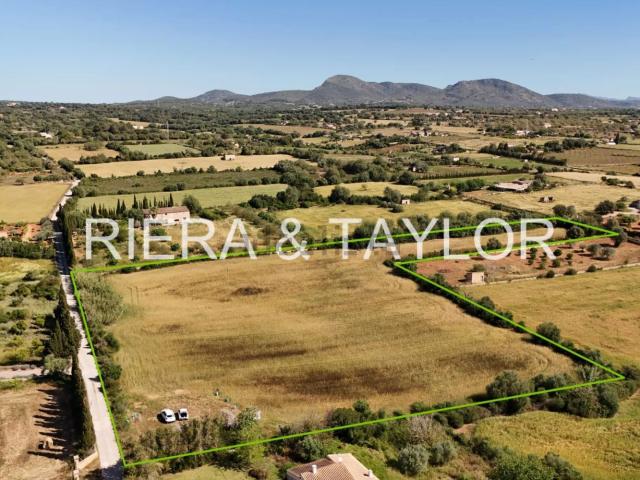 Terreno, Manacor