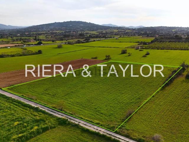 Terreno, Manacor