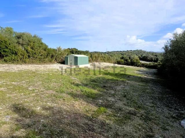 Terreno, Manacor