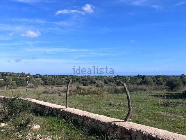 Terreno, Manacor