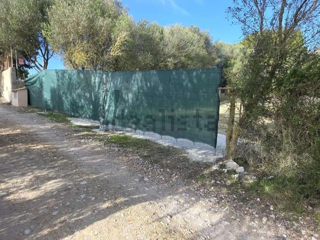 Terreno, Manacor