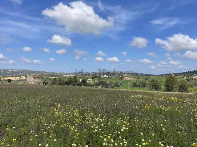 Terreno, Manacor