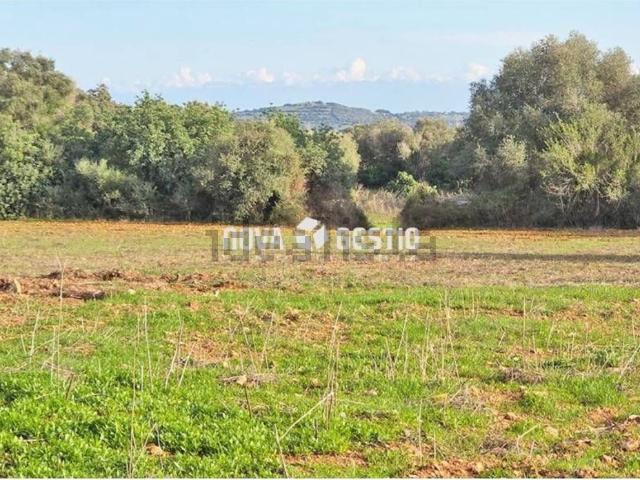 Terreno, Manacor
