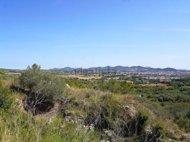 Terreno, Manacor