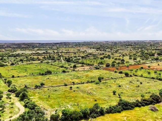 Terreno, Manacor