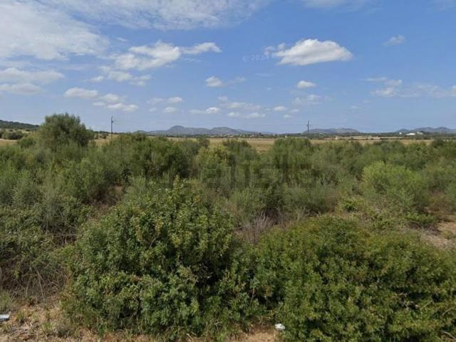 Terreno, Manacor