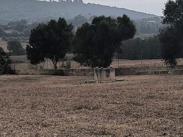 Terreno, Manacor