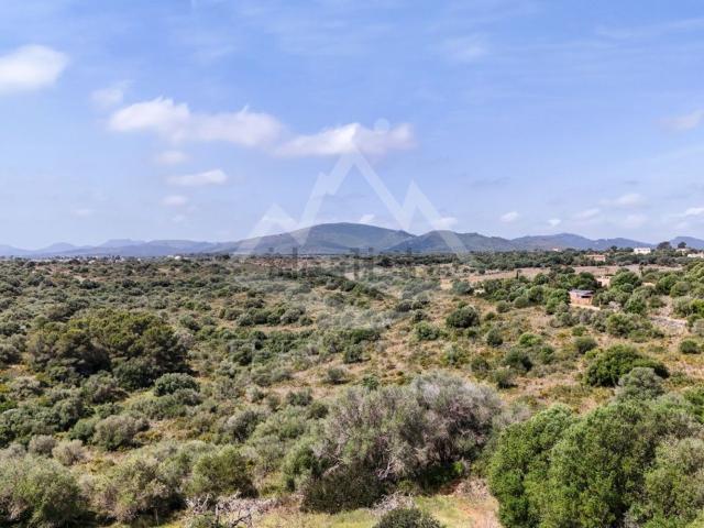 Terreno, Manacor