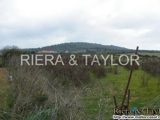 Terreno, Manacor