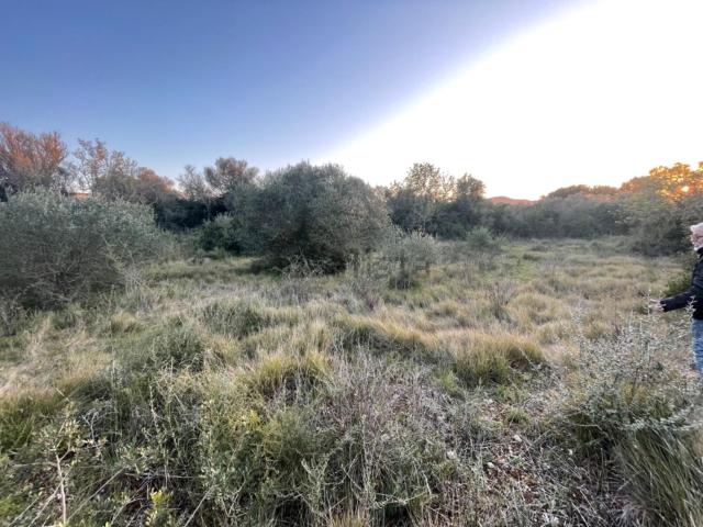 Terreno, Manacor