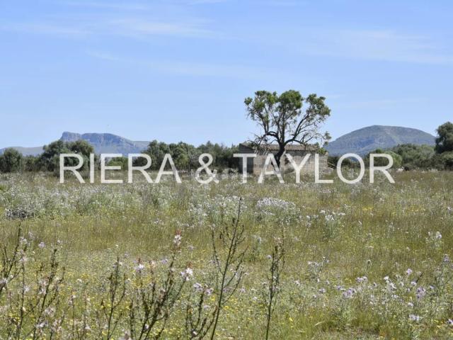 Terreno, Manacor