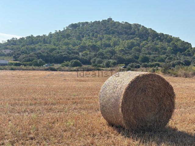 Terreno, Manacor
