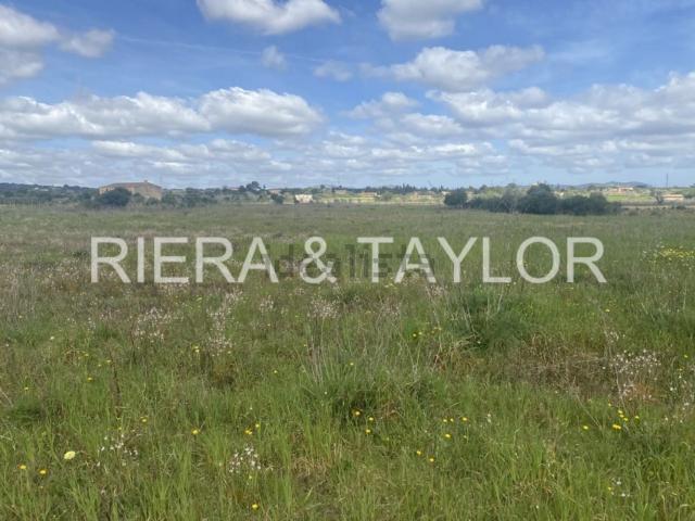 Terreno, Manacor