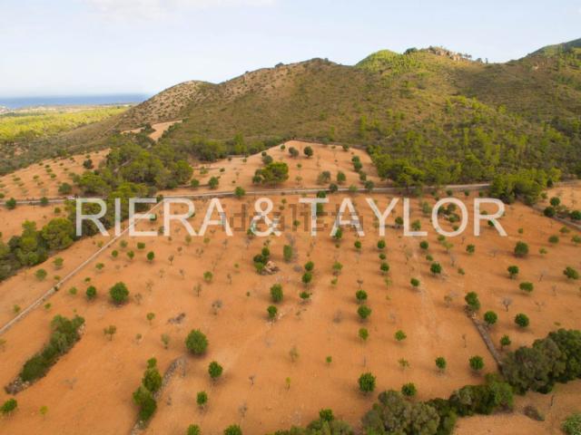 Terreno, Manacor