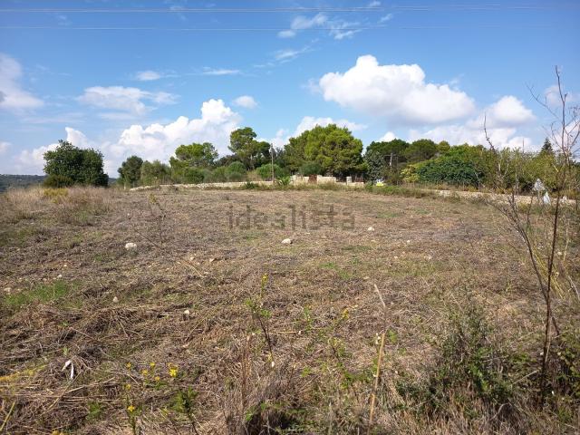 Terreno, Manacor