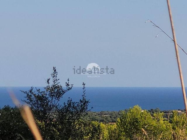 Terreno, Manacor