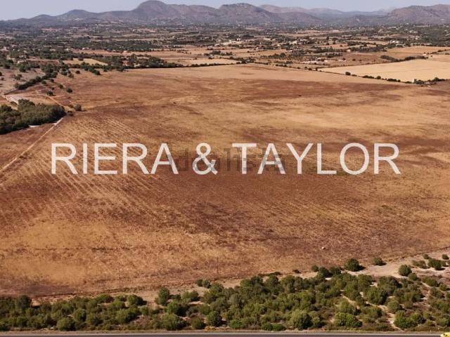 Terreno, Manacor