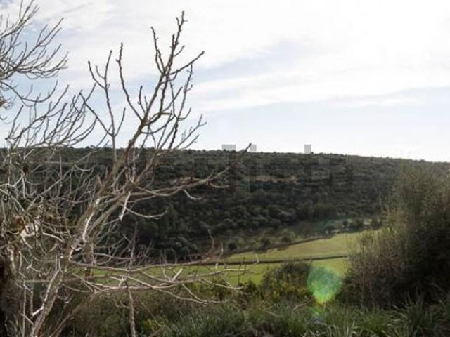Terreno, Manacor