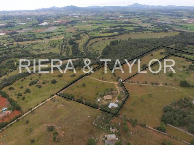 Terreno, Manacor